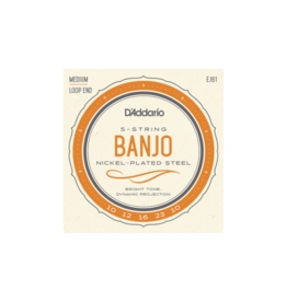 D'addario EJ61 5-string banjo strings 010-023