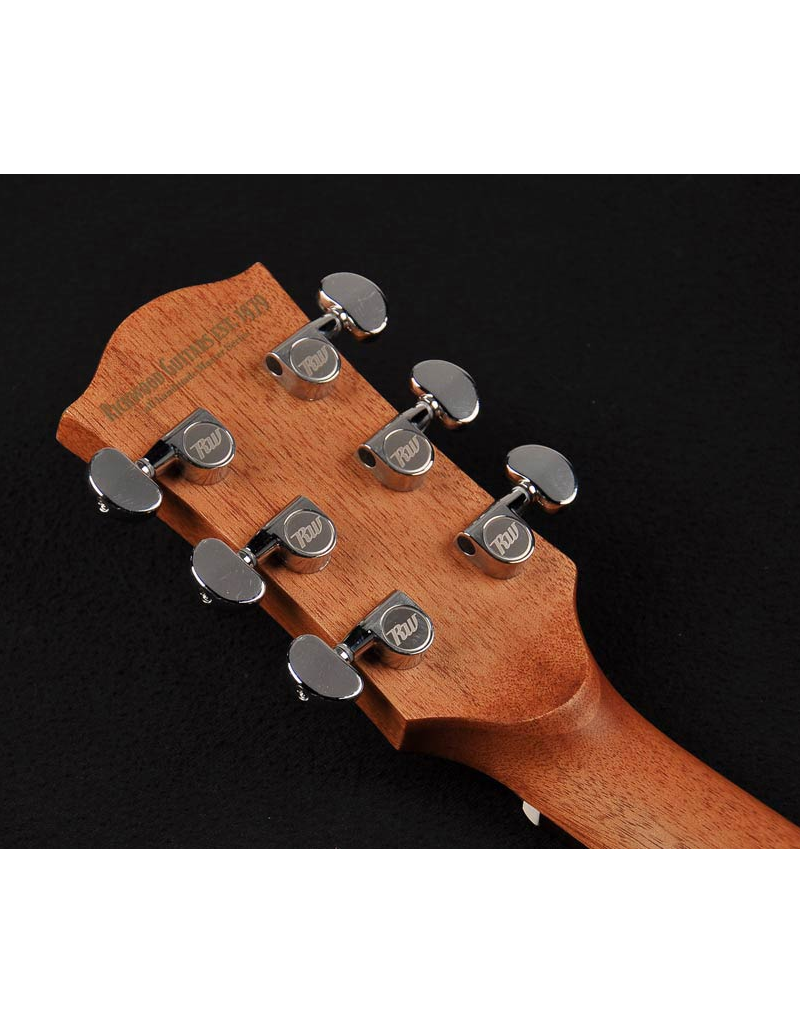 Richwood D-50-CE Akoestisch/elektrisch gitaar