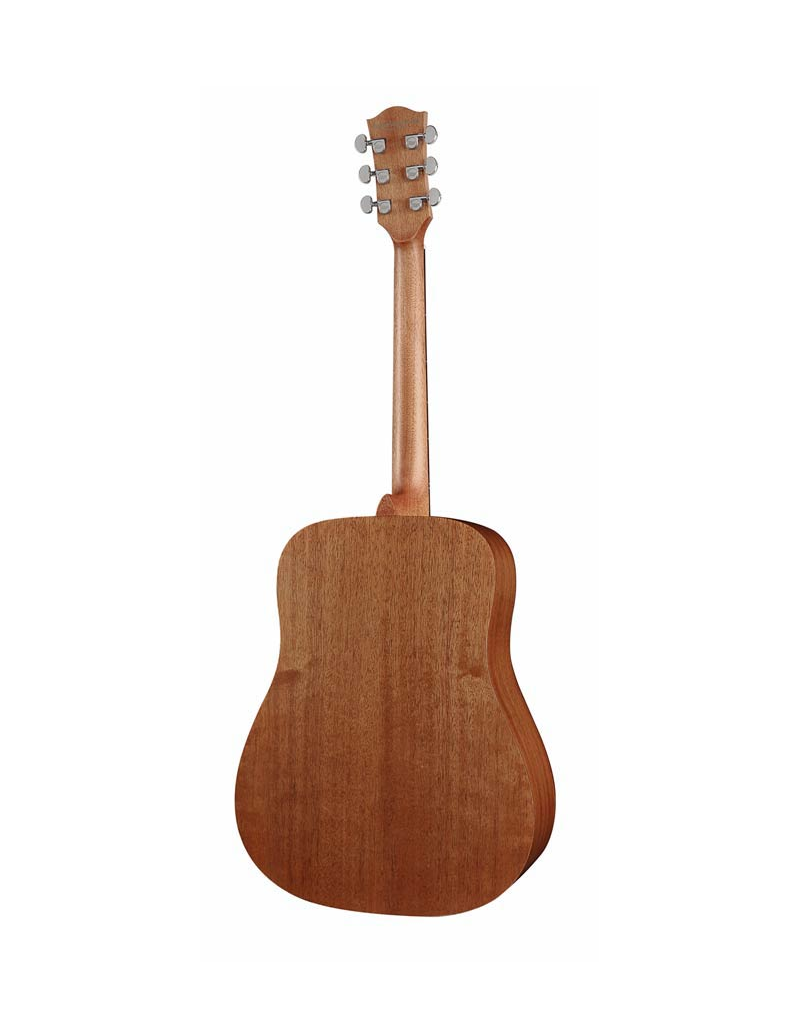 Richwood D-50 Acoustic guitar