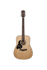 Richwood D-40L Lefthanded acoustic guitar