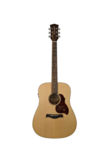 Richwood D-20-E Acoustic/electric guitar