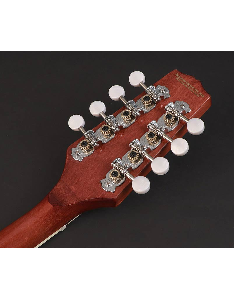 Richwood RMBM-408 Mandolin banjo