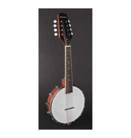 Richwood RMBM-408 mandolin banjo