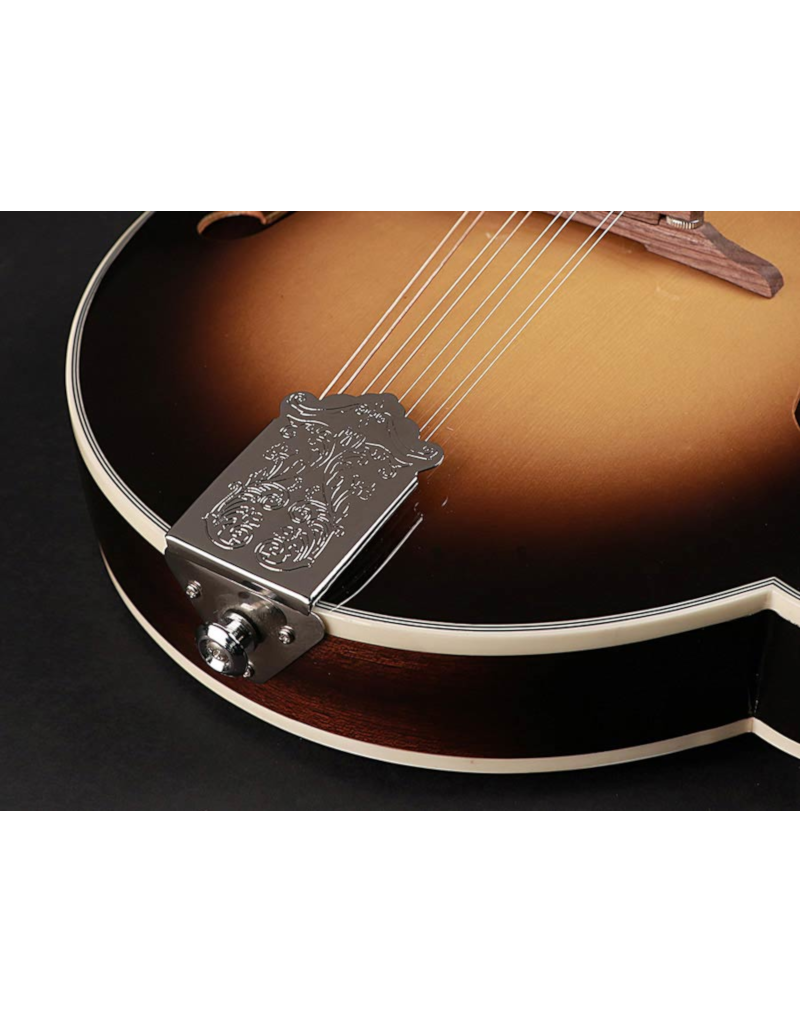 Richwood RMF-60-VS F-style mandolin