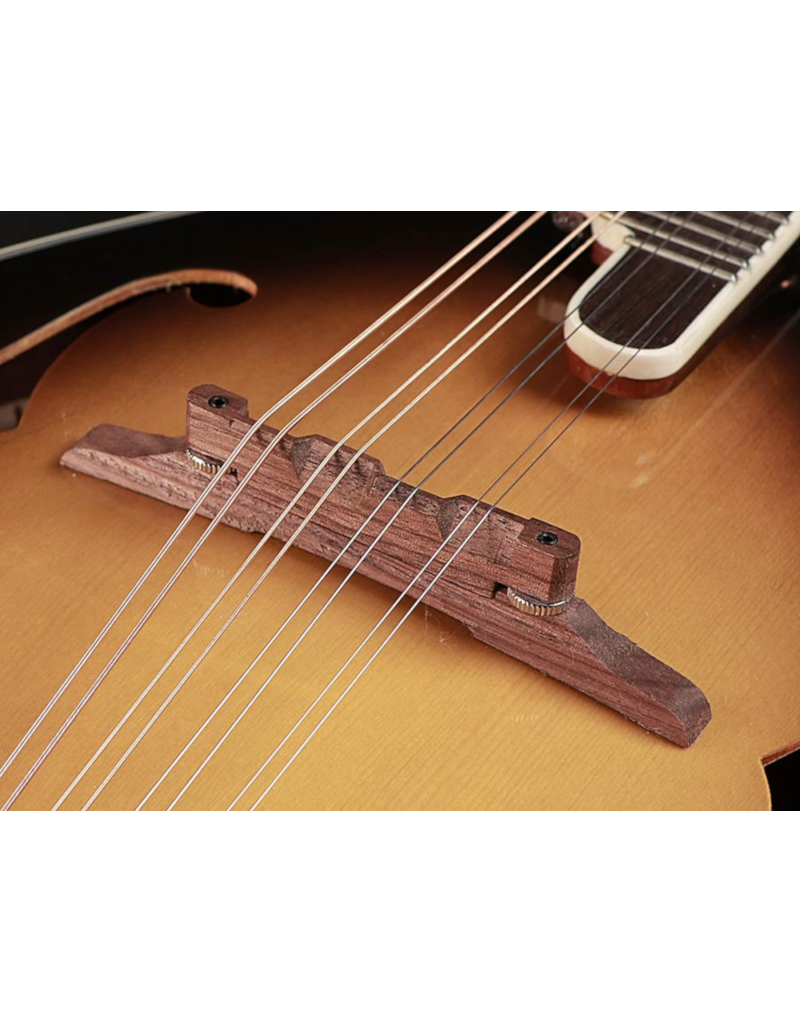 Richwood RMF-60-VS F-style mandolin
