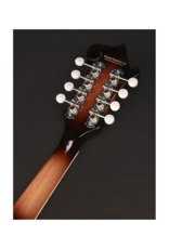 Richwood RMF-60-VS F-style mandolin