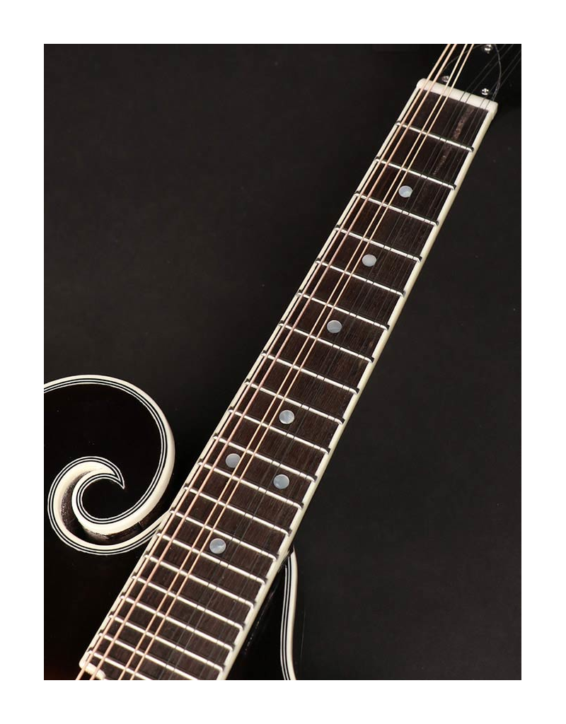 Richwood RMF-60-VS F-style mandolin