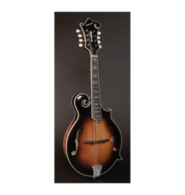 Richwood RMF-100-VS F-style mandolin