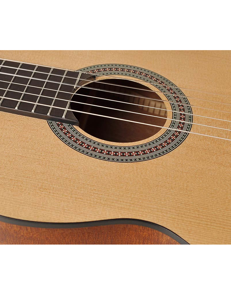 Salvador CS-244 Classical guitar