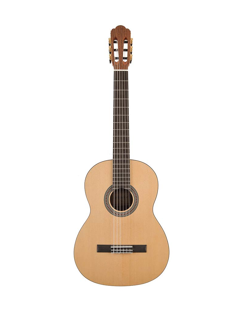 Salvador CS-244 Classical guitar