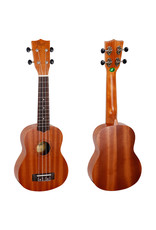 Flight NUS310 sopraan ukelele