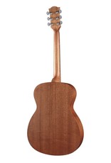 Richwood A-50 Akoestische gitaar