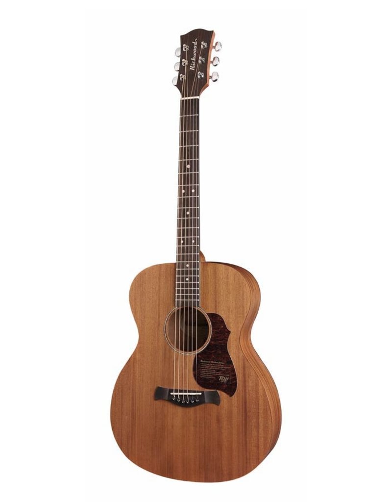 Richwood A-50 Acoustic guitar