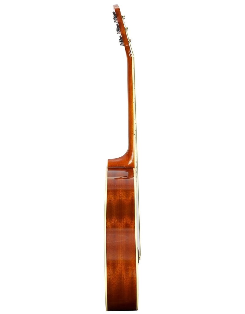 Brunswick BF200 BK Akoestische gitaar zwart