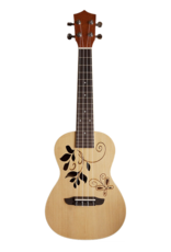 Radiobeurs Leave Spruce concert ukulele