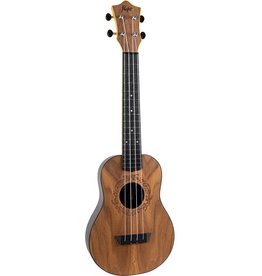 Flight Travel Salamander concert ukelele