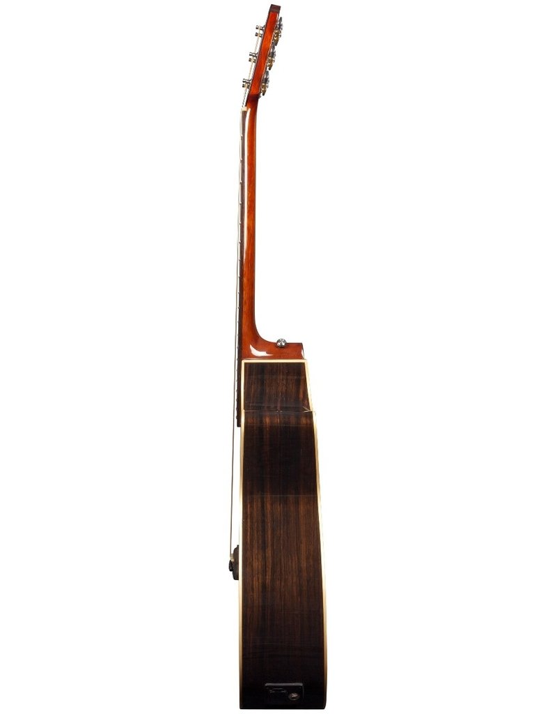 Rathbone R3CECE No.3 akoestisch/elektrisch gitaar Ebben