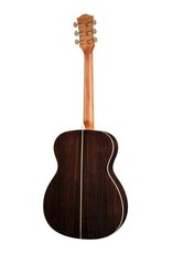 Richwood A-70-VA Acoustic guitar