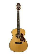 Richwood A-70-VA Akoestische gitaar