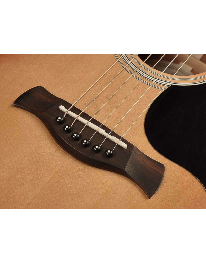 Richwood G-40-CE akoestisch/elektrisch gitaar