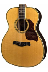 Richwood A-70-VA Acoustic guitar