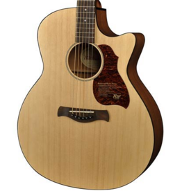 Richwood G-20-CE acoustic/electric guitar