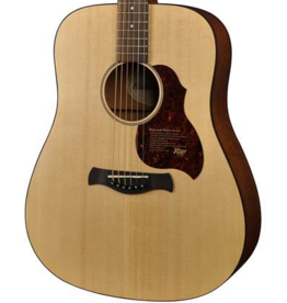 Richwood D-20-E acoustic/electric guitar