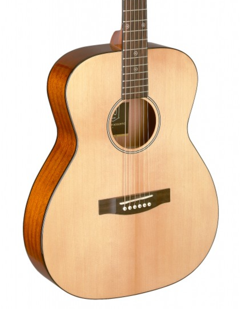 J.N. Guitars BES-A N Acoustic guitar