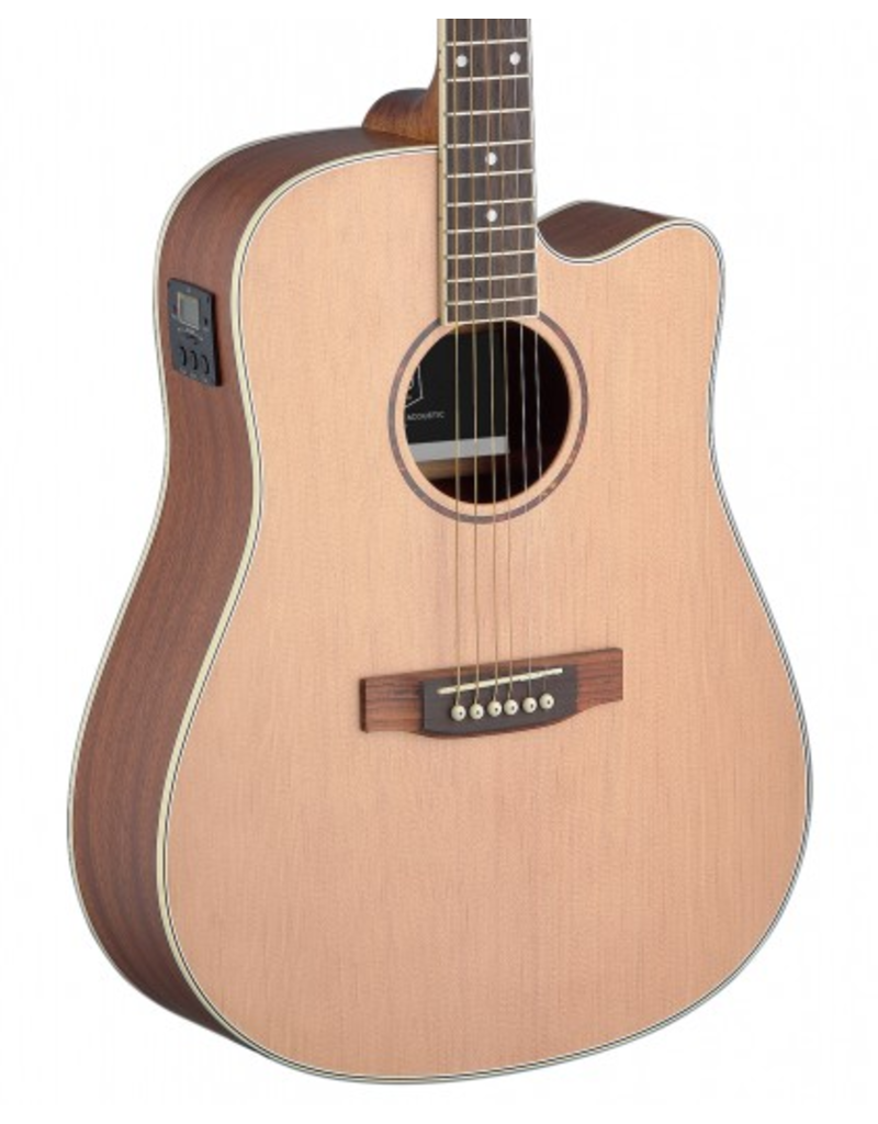 J.N. Guitars ASY-DCE Acoustic/electric guitar