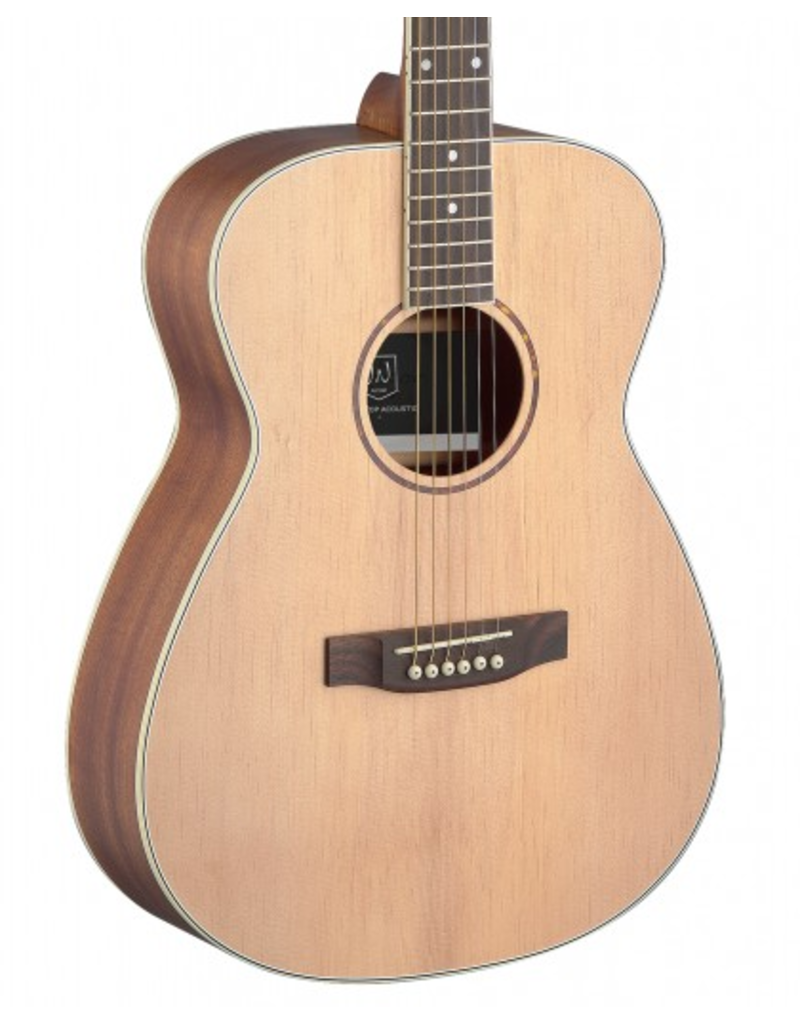 J.N. Guitars ASY-A Acoustic guitar