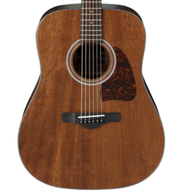 Ibanez AW54-OPN acoustic guitar