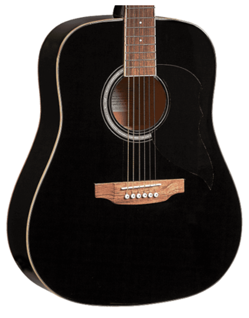 Eko Ranger6 BK akoestische gitaar zwart