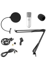 CMS300S USB microphone set silver