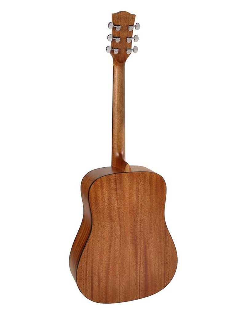 Richwood D-220 Akoestische gitaar