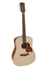 Richwood D-220 Acoustic guitar