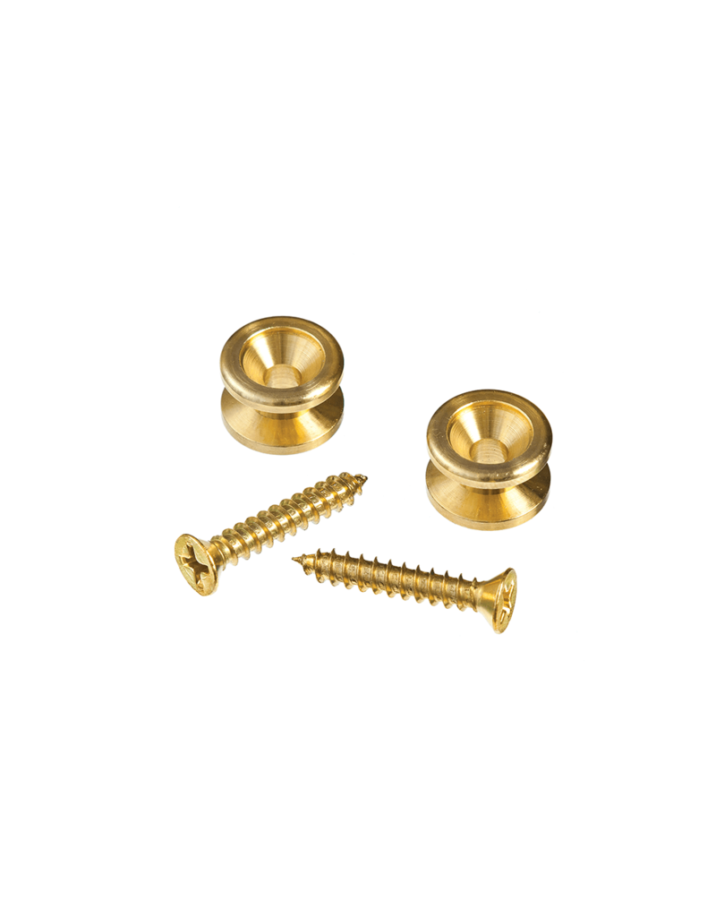 D'addario Brass end pins gold