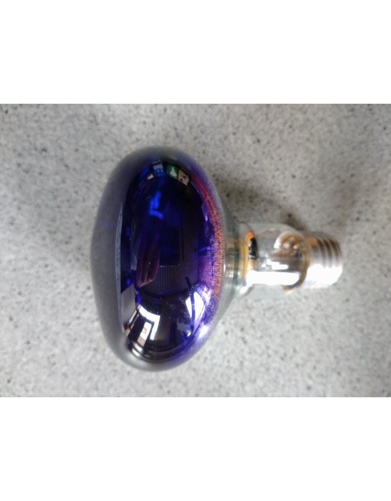 Radiobeurs 60 Watt Reflector lamp E27 Purple