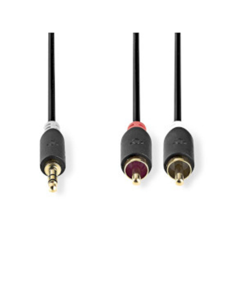 Nedis Stereo audiokabel mini stereo jack naar 2x tulip 2 meter