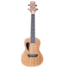 Peavey Composer concert ukulele