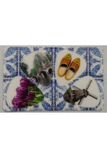 CLX Music Holland guitar pick card