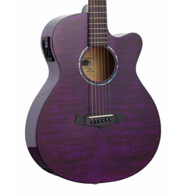 Tanglewood TA4CEPU acoustic/electric guitar