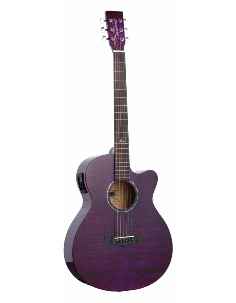 Tanglewood TA4CEPU acoustic/electric guitar