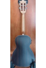 Leho LHUC-ALEB-E Concert ukulele with pickup ebony