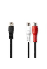 Nedis Din audio verloopkabel 20cm