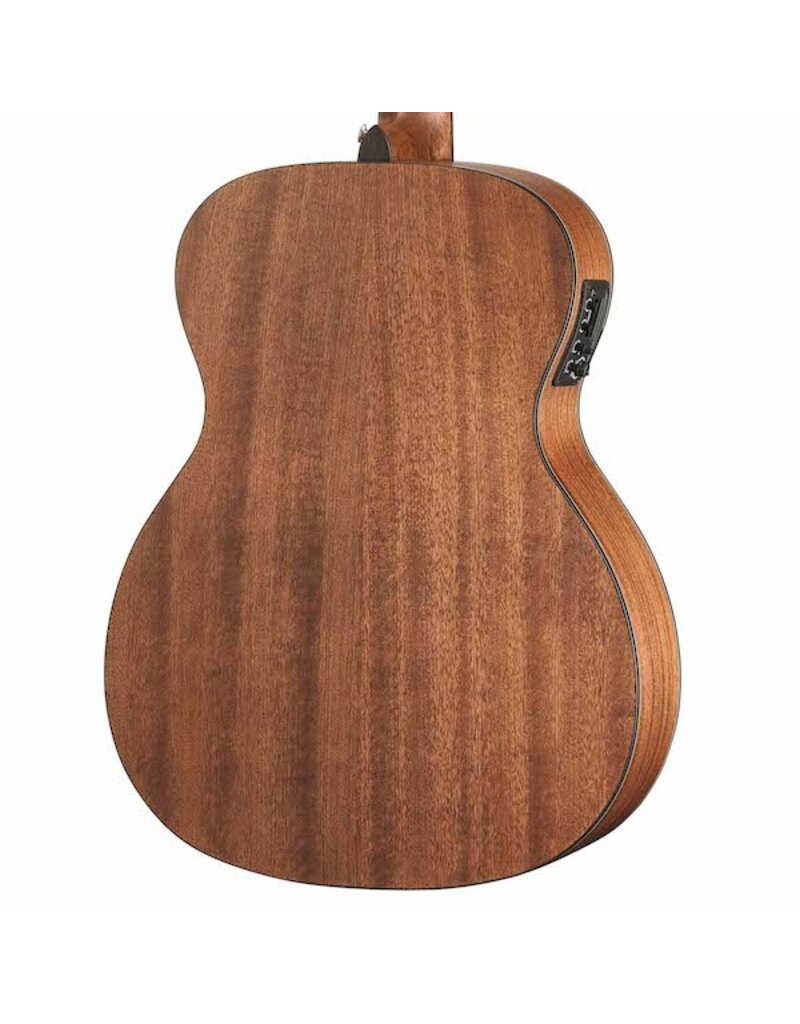 Walden O550E acoustic/electric guitar