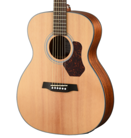 Walden O550E acoustic/electric guitar