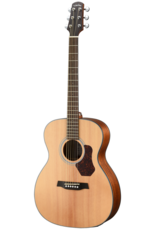 Walden O550E acoustic/electric guitar