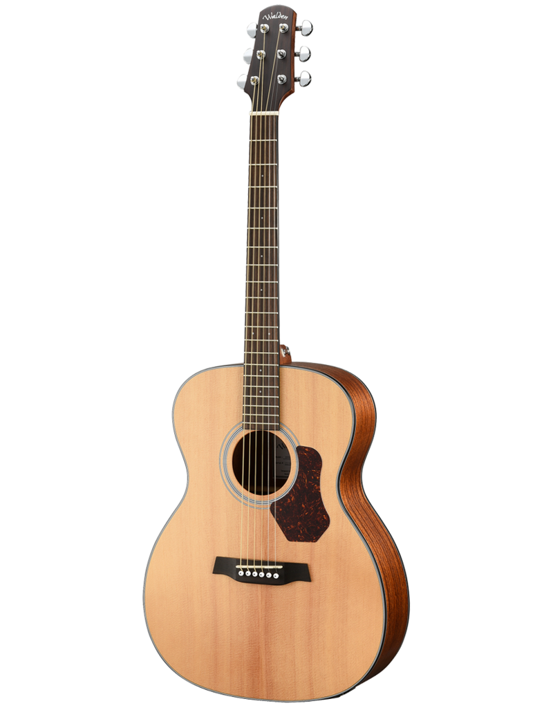 Walden O550E acoustic/electric guitar