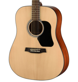 Walden D450 acoustic guitar