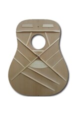 Walden D450 acoustic guitar